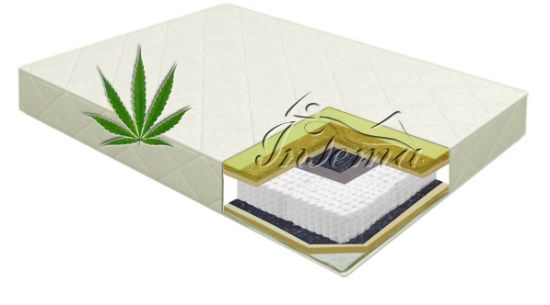 Picture of Hemp Harmony