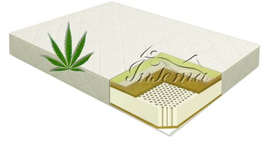 Изображение Hemp Shine